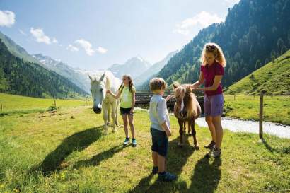 wandern_pferde_sellrain_innsbrucktourismus.jpg